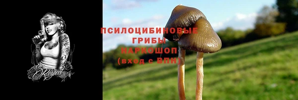 а пвп мука Алзамай