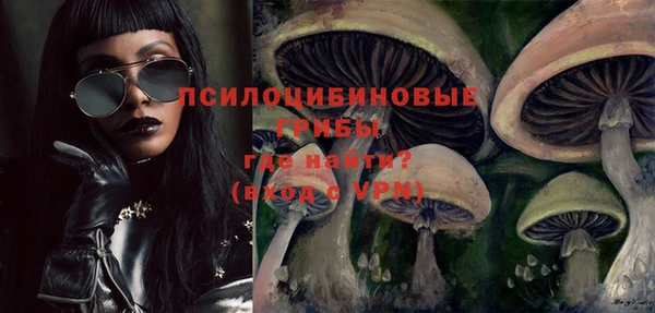 прущие грибы Алексеевка