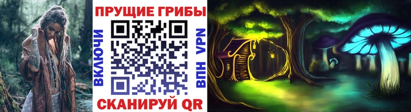 продажа наркотиков  Алексин  Псилоцибиновые грибы Cubensis 