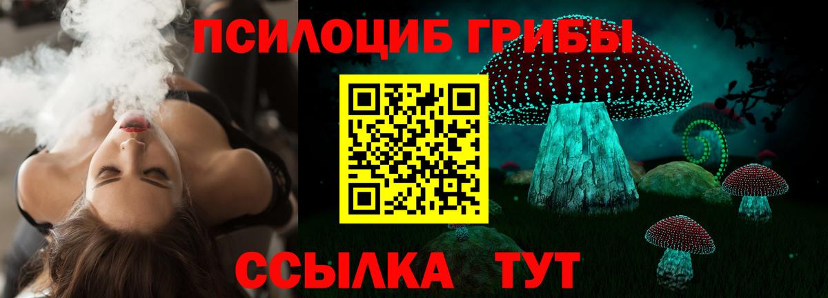 Алексин  Галлюциногенные грибы прущие грибы  Вход с VPN 